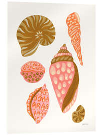Acrylglasbild Meine tropische Muschelsammlung II - Yvette St. Amant