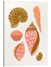 Alubild Meine tropische Muschelsammlung II - Yvette St. Amant