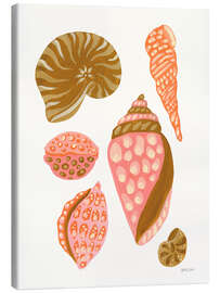 Leinwandbild Meine tropische Muschelsammlung II - Yvette St. Amant