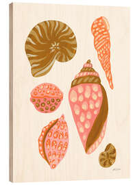 Holzbild Meine tropische Muschelsammlung II - Yvette St. Amant