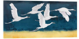 Acrylglasbild Gefiederte Herde