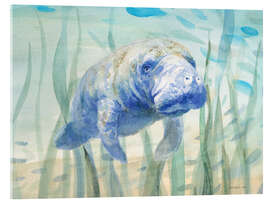 Acrylglasbild Manati Unterwasser - Danhui Nai