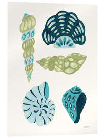 Acrylglasbild Meine tropische Muschelsammlung I - Yvette St. Amant