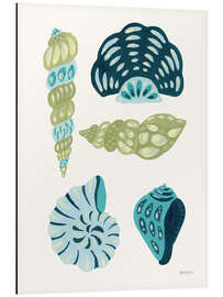 Alubild Meine tropische Muschelsammlung I - Yvette St. Amant