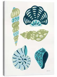 Leinwandbild Meine tropische Muschelsammlung I - Yvette St. Amant