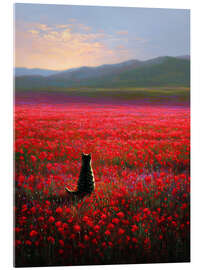 Acrylic print Tabby Cat in Poppy Field - DejaReve