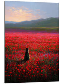 Alubild Getigerte Katze in Mohnblumenfeld