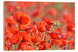 Holzbild Mohnblumen