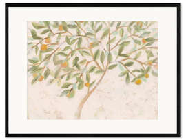 Gerahmter Kunstdruck Zitrusbaum