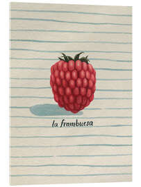 Acrylglasbild La frambuesa (die Himbeere) - Grace Popp