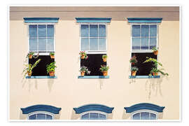 Poster Fenster in New Orleans - Michael Potter Studio