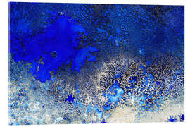 Acrylglasbild Sunlit Reef