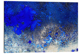 Alubild Sunlit Reef - Petra Meikle