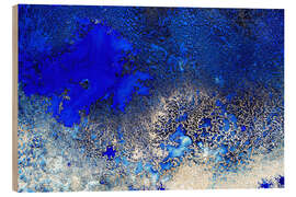 Holzbild Sunlit Reef - Petra Meikle