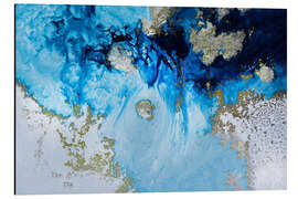 Alubild Blue Haven Reef