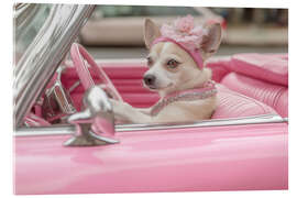 Acrylglasbild Süßer Hund in Pink Cabrio - Jones &amp; Shimlock