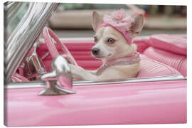Leinwandbild Süßer Hund in Pink Cabrio - Jones &amp; Shimlock