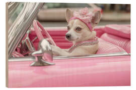 Holzbild Süßer Hund in Pink Cabrio - Jones &amp; Shimlock