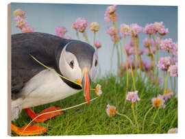 Holzbild Blume im Schnabel, Atlantischer Papageientaucher