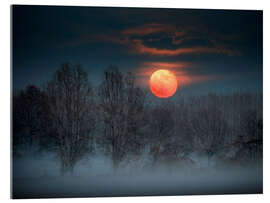 Acrylglasbild Vollmond im November, der hinter einem nebligen Wald aufsteigt