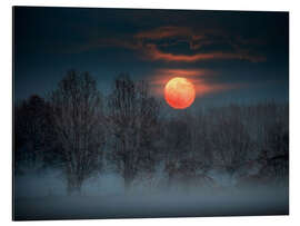 Alubild Vollmond im November, der hinter einem nebligen Wald aufsteigt