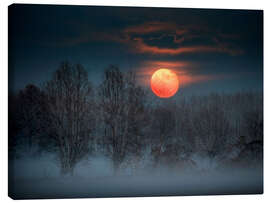 Leinwandbild Vollmond im November, der hinter einem nebligen Wald aufsteigt - Jones &amp; Shimlock