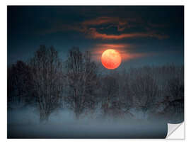 Wall sticker Full moon of November rising from behind a foggy forest