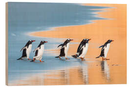 Holzbild Eselspinguine, Falklandinseln - Jones &amp; Shimlock