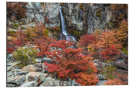 Alubild Wasserfall und Herbstfarben auf südlichen Buchen - Jones &amp; Shimlock
