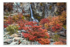 Wandbild Wasserfall und Herbstfarben auf südlichen Buchen - Jones &amp; Shimlock