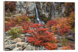Holzbild Wasserfall und Herbstfarben auf südlichen Buchen - Jones &amp; Shimlock