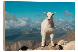 Holzbild Bergziege auf einem Felsen, Colorado - Jones &amp; Shimlock