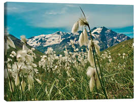 Leinwandbild Italien, Nationalpark Stilfser Joch - Jones &amp; Shimlock