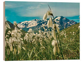 Holzbild Italien, Nationalpark Stilfser Joch - Jones &amp; Shimlock