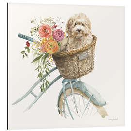 Alubild Cycling Summer I