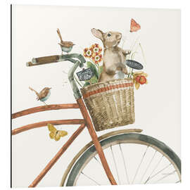 Alubild Cycling Summer II