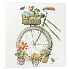 Alubild Cycling Summer III - Lisa Audit