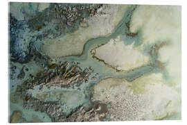 Acrylglasbild Evergreen