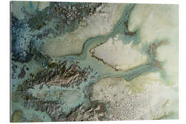 Gallery Print Evergreen