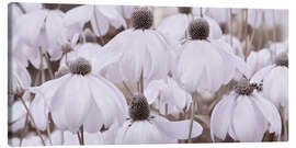 Leinwandbild Sonnenhut Panorama - Atteloi