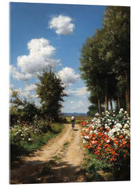 Acrylglasbild Auf der Suche nach Sonnenlicht