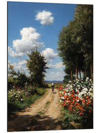 Alubild Auf der Suche nach Sonnenlicht