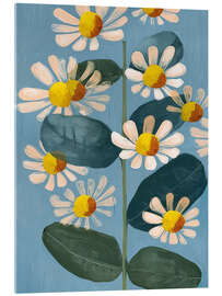 Acrylglasbild Gänseblümchen - Branka Kodžoman
