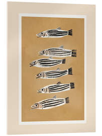 Acrylglasbild Minimale Fischstudie