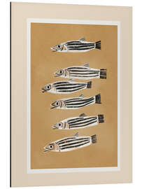 Magnettafel Minimale Fischstudie