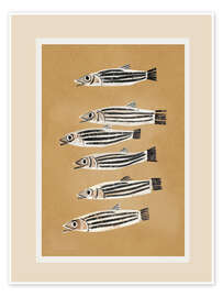 Tavla Minimal Fish Study - Branka Kodžoman