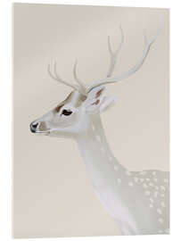 Acrylglasbild Weißer Hirsch