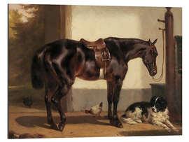 Alubild Retro Pferd und Hund