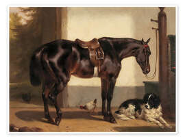 Poster Retro Pferd und Hund - TAlex