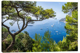 Leinwandbild Capri im Sommer - Jan Christopher Becke